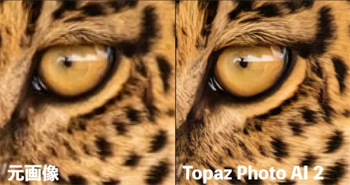Topaz Photo AI 2の適用例レビュー1
