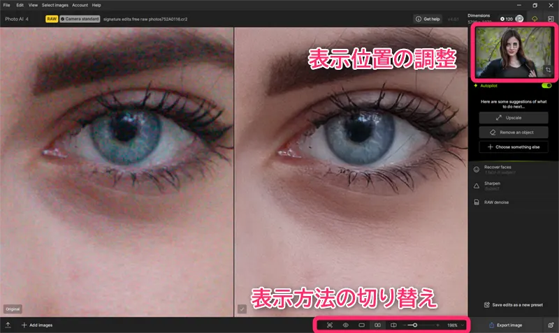Topaz Photo AIの表示位置と表示方法の切り替え